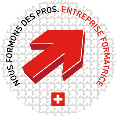 Logo SBFI