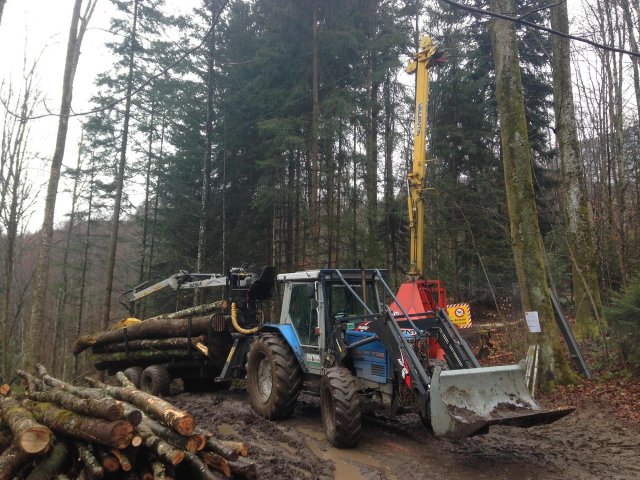 Travaux forestiers — photo 9