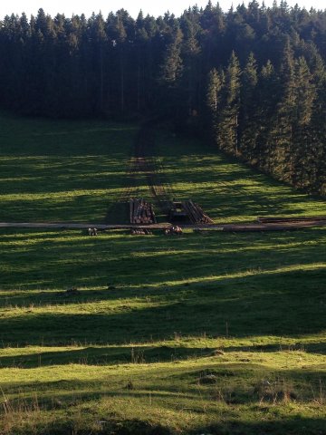 Travaux forestiers — photo 13