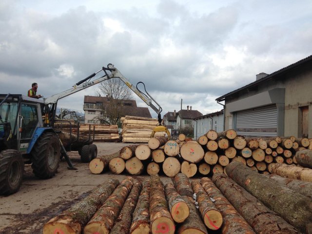 Travaux forestiers — photo 15