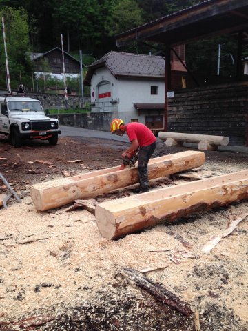 Travaux forestiers — photo 22
