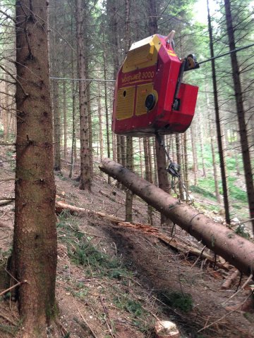 Travaux forestiers — photo 24