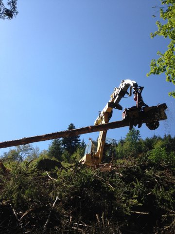 Travaux forestiers — photo 25