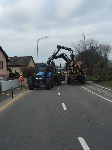 Travaux forestiers — photo 27
