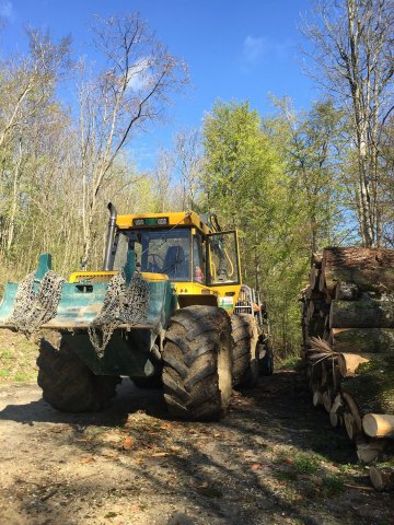 Travaux forestiers — photo 28