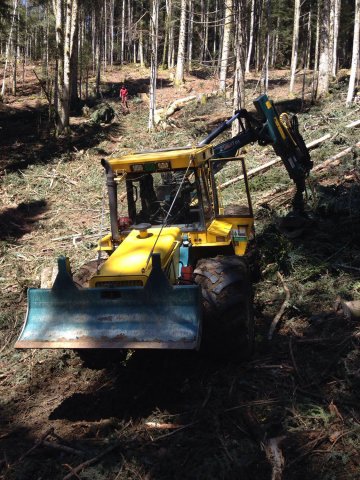 Travaux forestiers — photo 30