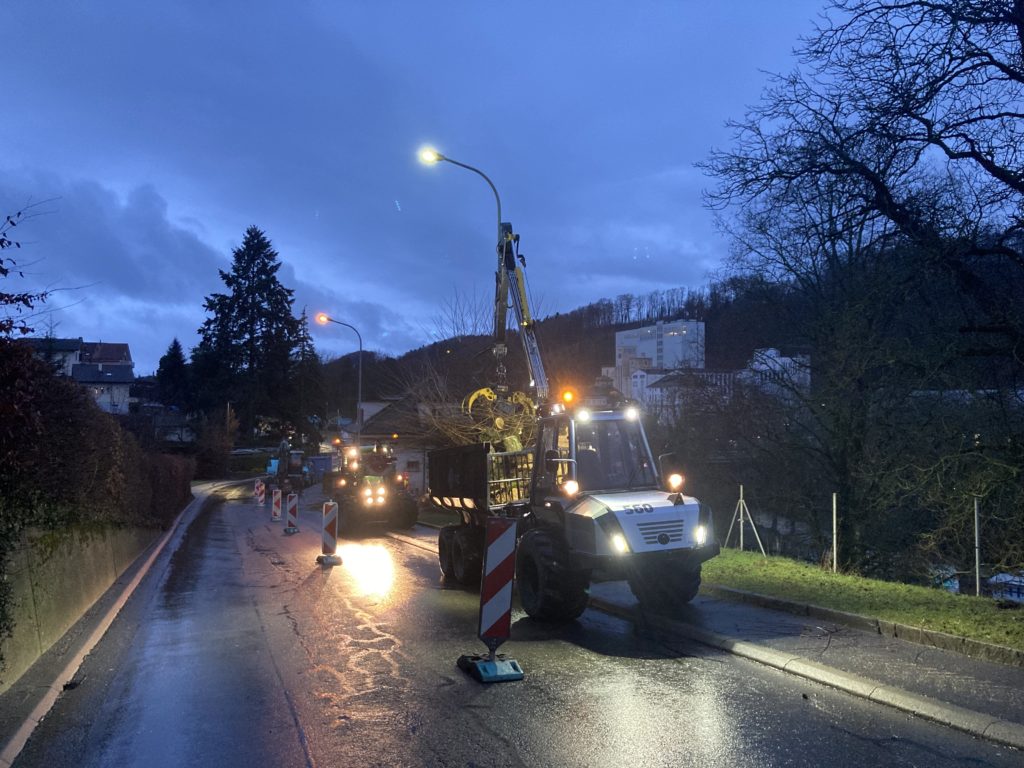 Travaux forestiers — photo 33
