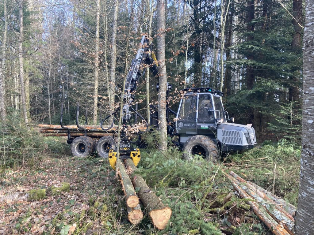 Travaux forestiers — photo 34
