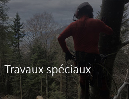 Rétro 1.5 tonnes