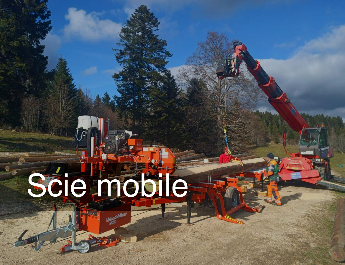 Scie mobile